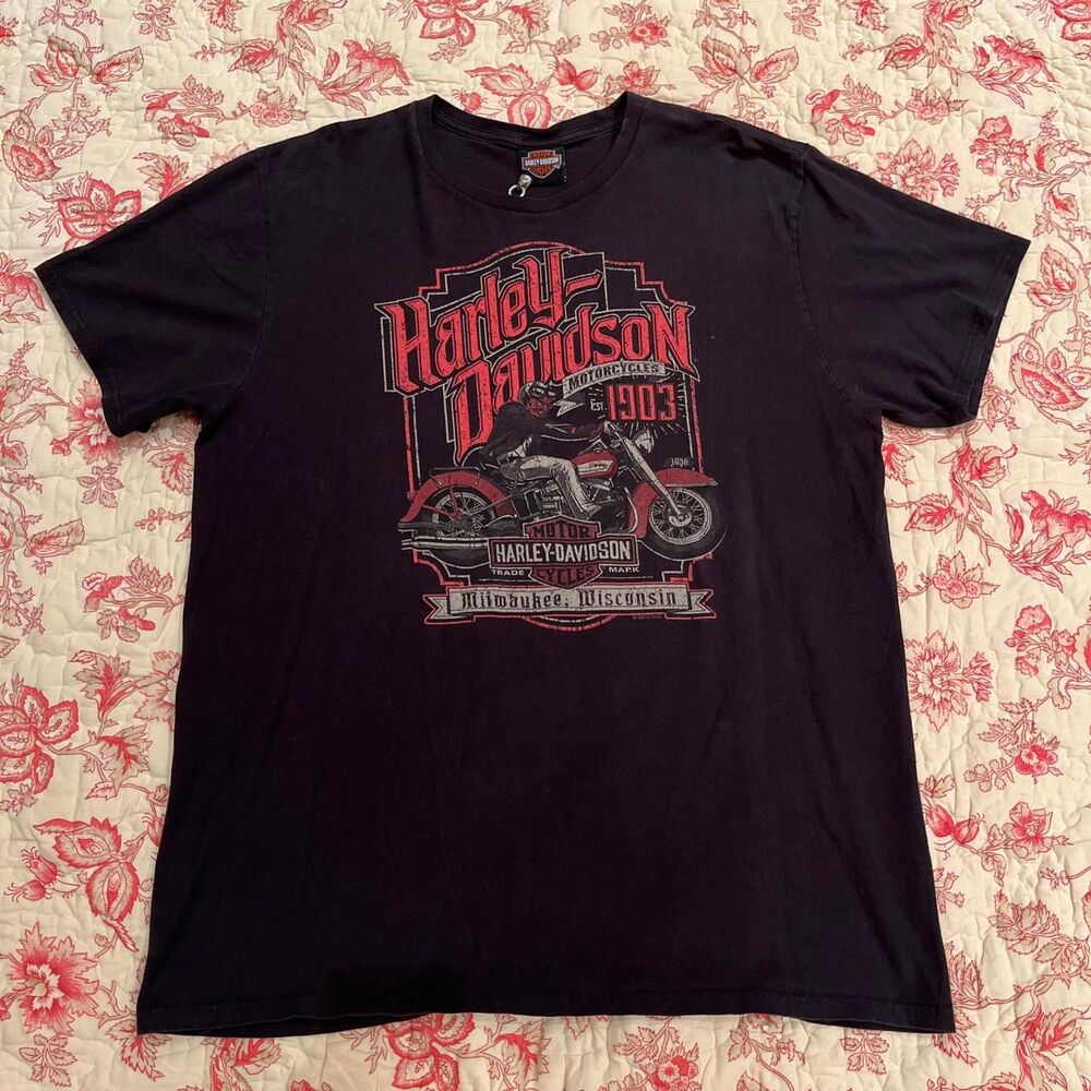 Harley-davidson Men's Black T-shirt